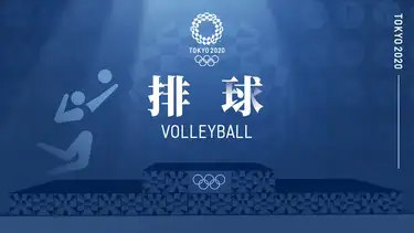排球女子预赛 A组日本vs巴西 排球女子预赛 A组日本vs巴西